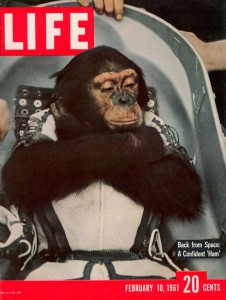 Шимпанзе Хэм. 10 февраля 1961 г. Обложка журнала "Life"